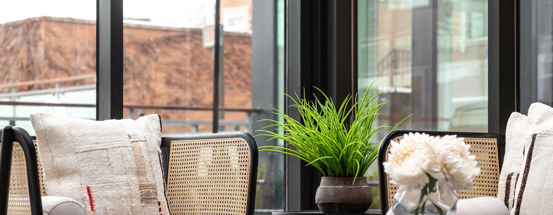 a couple of chairs and a table with a plant on it